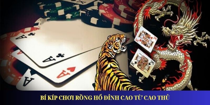 Rồng Hổ – Trò chơi hấp dẫn nhất tại Hillarygroup 2025 Bí kíp chơi rồng hổ đỉnh cao từ cao thủ