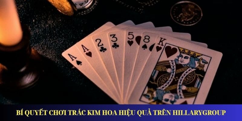 Game Trác Kim Hoa Tại Fun88 – Thắng Lớn Không Khó Bí quyết chơi Trác Kim Hoa hiệu quả trên HillaryGroup